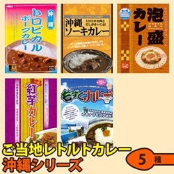 ご当地レトルトカレー 沖縄シリーズ ５種類10食セット