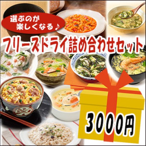 フリーズドライ3000円セット