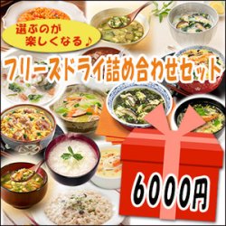 フリーズドライ6000円セット