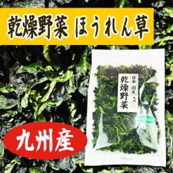 乾燥ほうれん草 95 ｇ