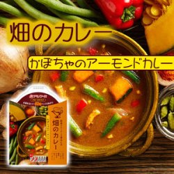 畑のカレーかぼちゃのアーモンドカレー×5パック