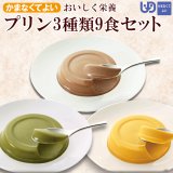 おいしく栄養 介護食プリン3種類9食セット