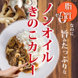 レトルトカレー ノンオイルきのこカレー180g 　