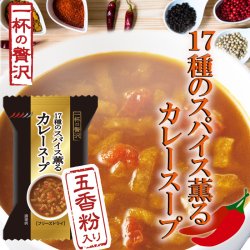 一杯の贅沢 17種のスパイス薫るカレースープ