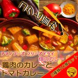 アマノフーズ フリーズドライ 畑のカレー 鶏肉のカレーとトマトカレー2種類10食セット