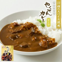 廣貫堂 やくぜんカレー ビーフ 180g 中辛